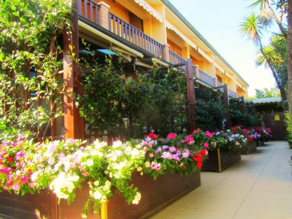 Camping riva dei pini