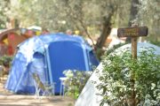 Camping le pianacce Toscane