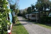 Bocca di Cecina camping