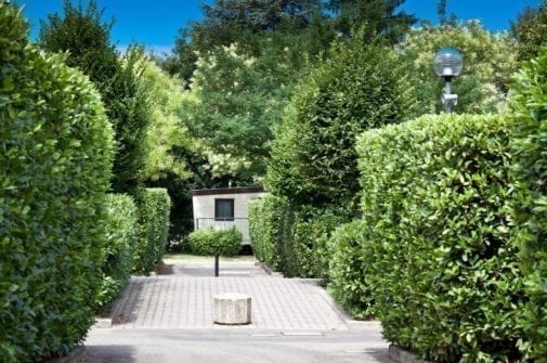 Camping Centro Turistico Citta di Bologna camping