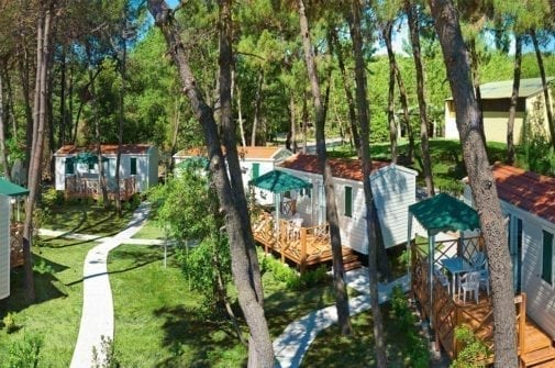 Rosapineta Rosolina Mare