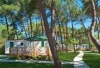 Rosapineta Rosolina Mare