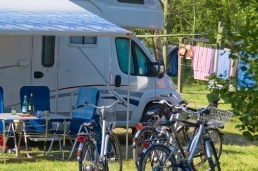 Rosapineta Rosolina Mare