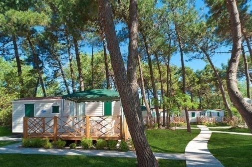 Rosapineta Rosolina Mare