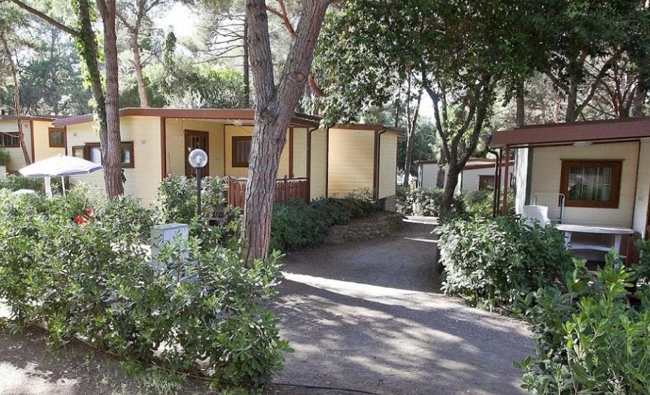 Camping il Capannino