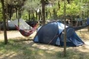 Camping International Piomboni Ravenna