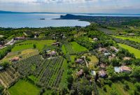 Europa Silvella Gardameer