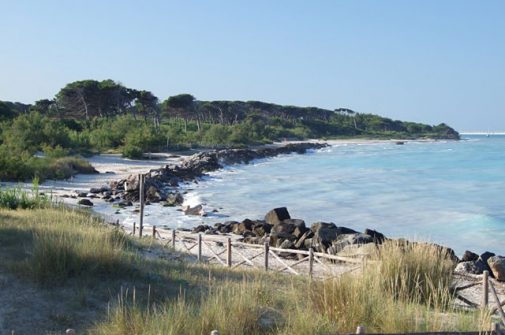 Camping Baia Del Marinaio Toscane