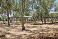 Camping Club Naturista Pizzo Greco